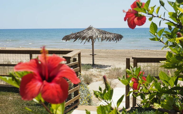 Villa Ariel: Utomhus