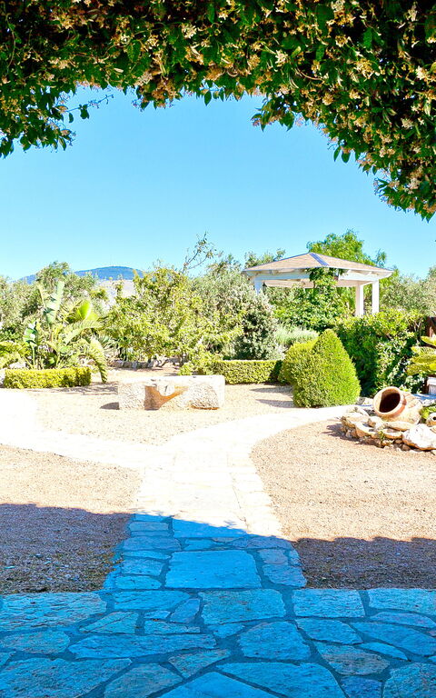 Tenutersa: Exteriör, Trädgård, Utomhus