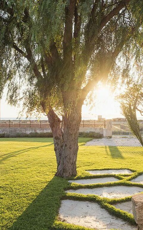 Villa Salinella: Trädgård