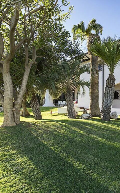 Blu Moon: Exteriör, Trädgård, Utomhus