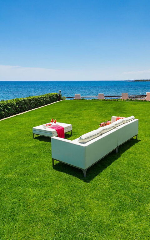 Blu Moon: Trädgård, Utomhus, Visningar