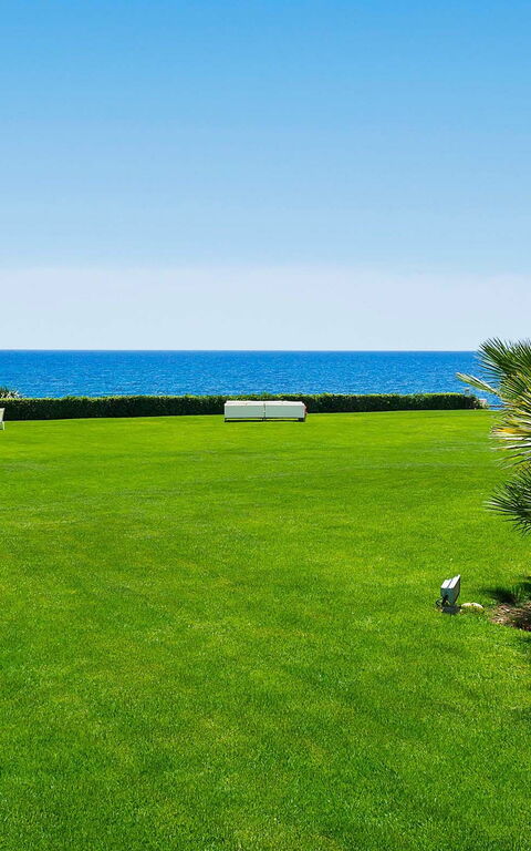 Blu Moon: Trädgård, Visningar