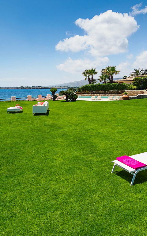 Blu Moon: Trädgård, Visningar