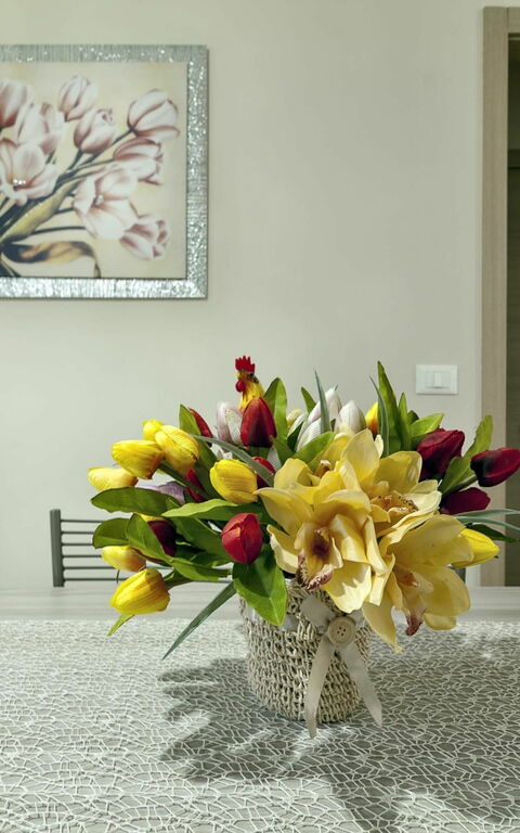 Villa Safiria: Rumsinformation