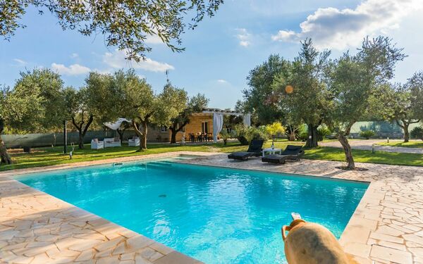 Villa Safiria: slå samman