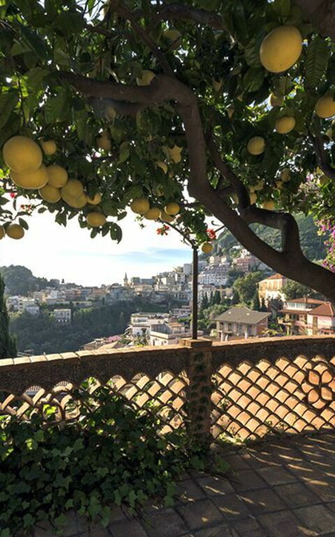 Villa La Boheme: Trädgård, Visningar