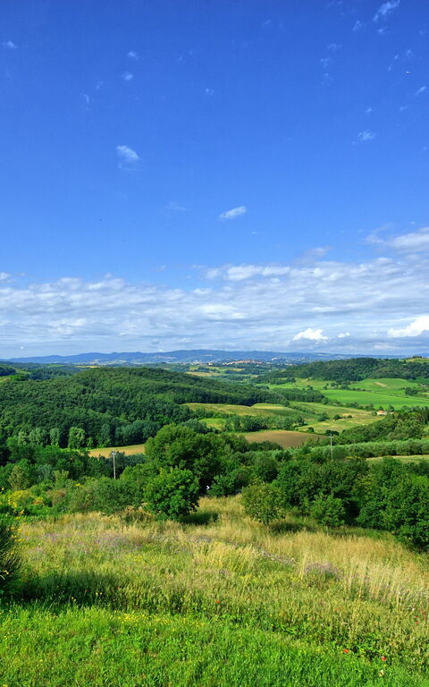 Casa Legoli: Trädgård