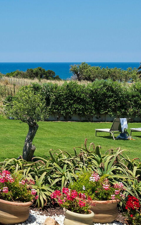 Villa Nettuno: Trädgård, Utomhus