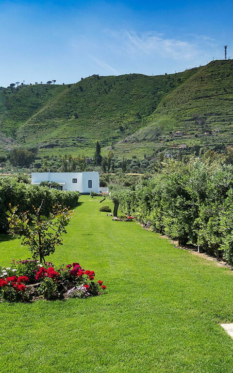 Villa Nettuno: Trädgård, Utomhus