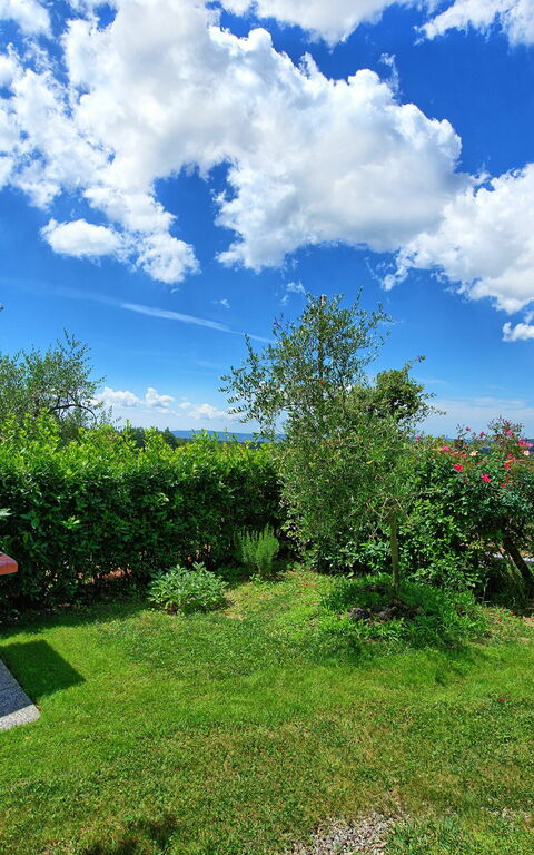 Villa Sonia: Utomhus