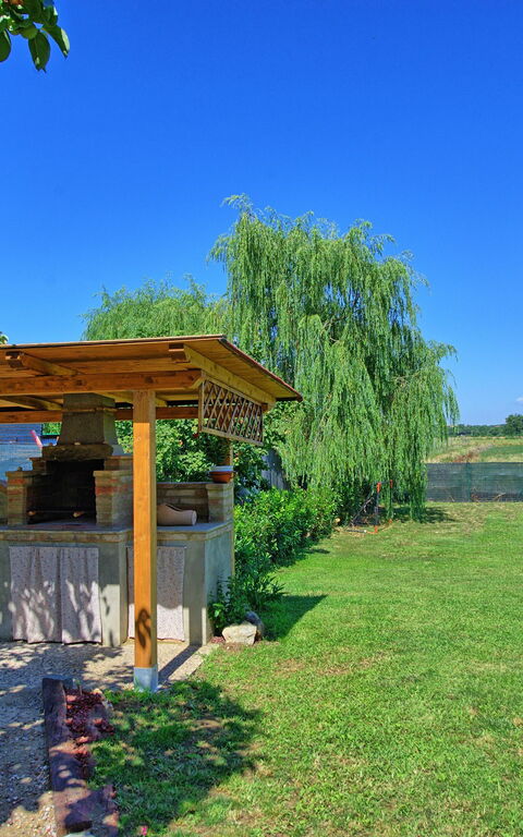 Casa Violina: Balkong / terrass / uteplats, Trädgård