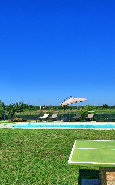 Casa Violina: slå samman, Trädgård