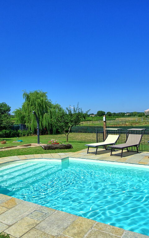 Casa Violina: slå samman, Trädgård