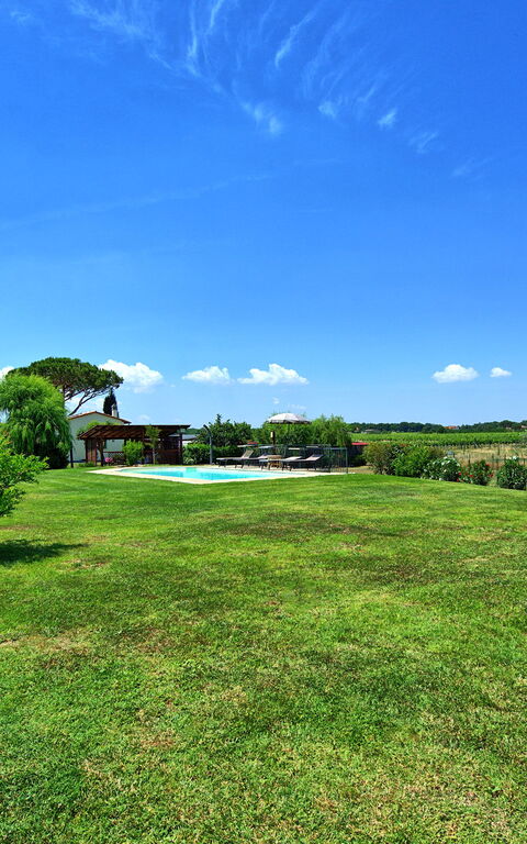 Casa Violina: Trädgård, Utomhus