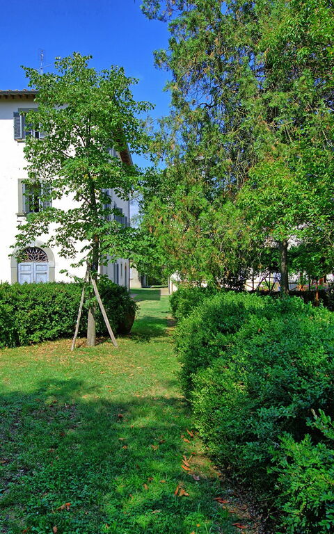 Villa Cangeli: Trädgård, Utomhus