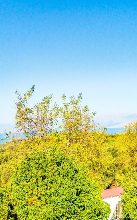 Villa Giador: Utomhus, Visningar