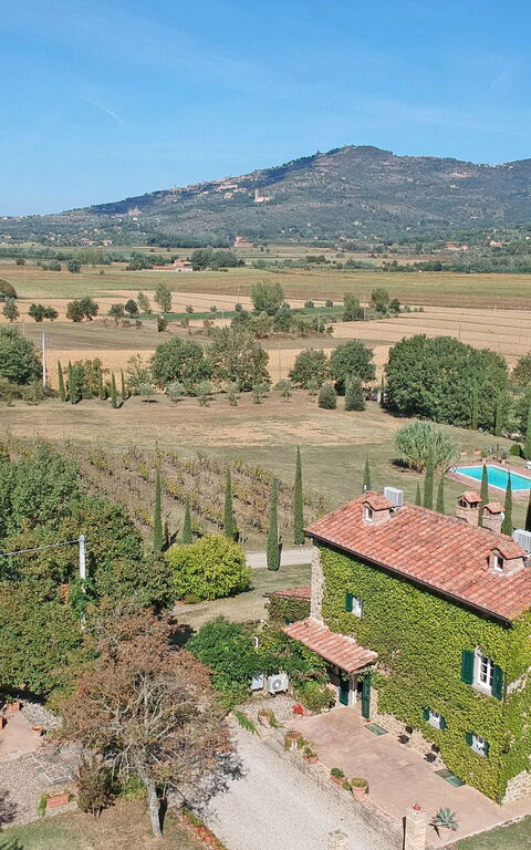 Villa Edo: Exteriör, Utomhus, Visningar