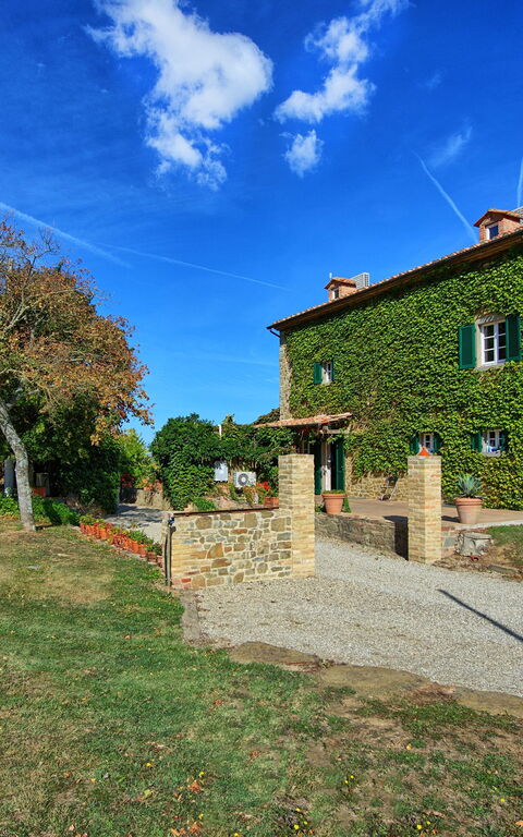 Villa Edo: Exteriör, Trädgård, Utomhus