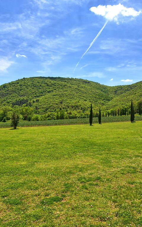 Villa Edo: Trädgård, Utomhus