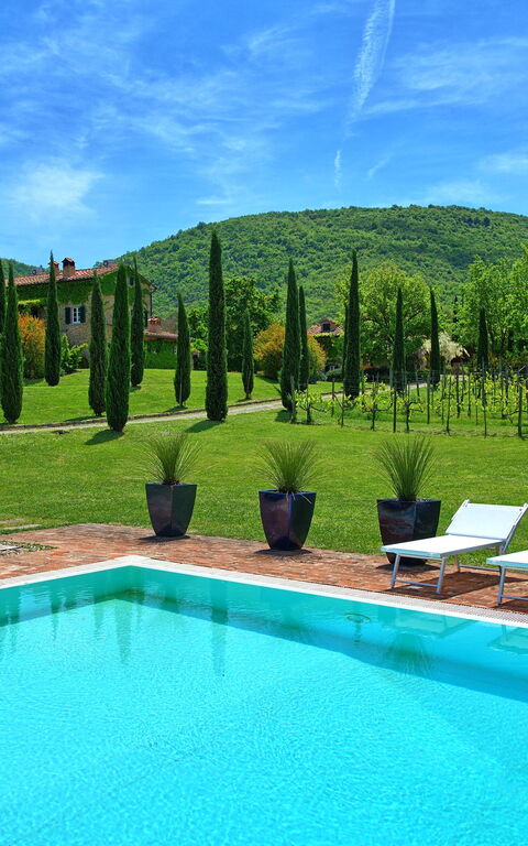 Villa Edo: slå samman, Trädgård, Utomhus