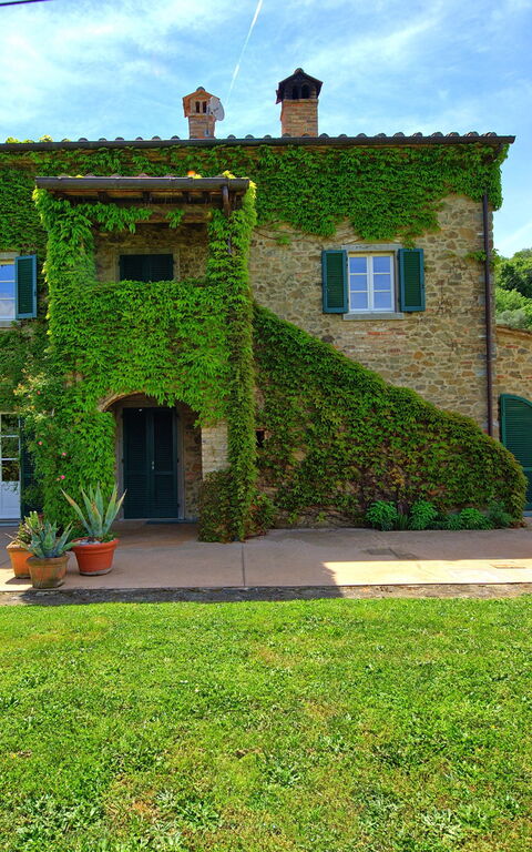 Villa Edo: Trädgård, Utomhus