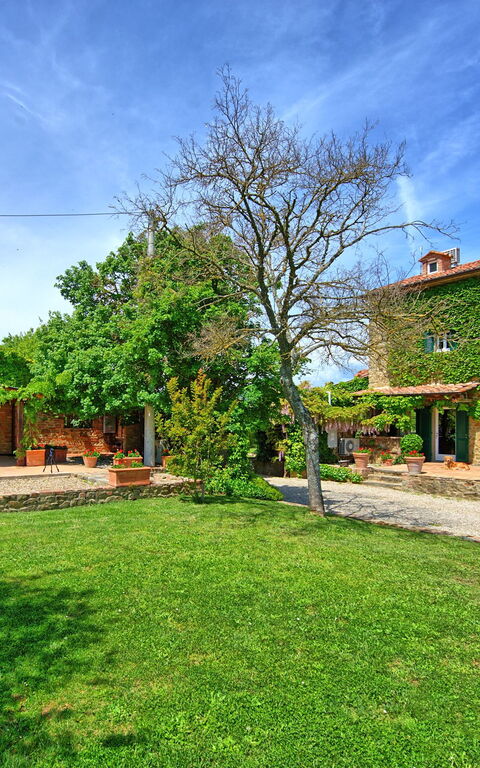 Villa Edo: Trädgård, Utomhus