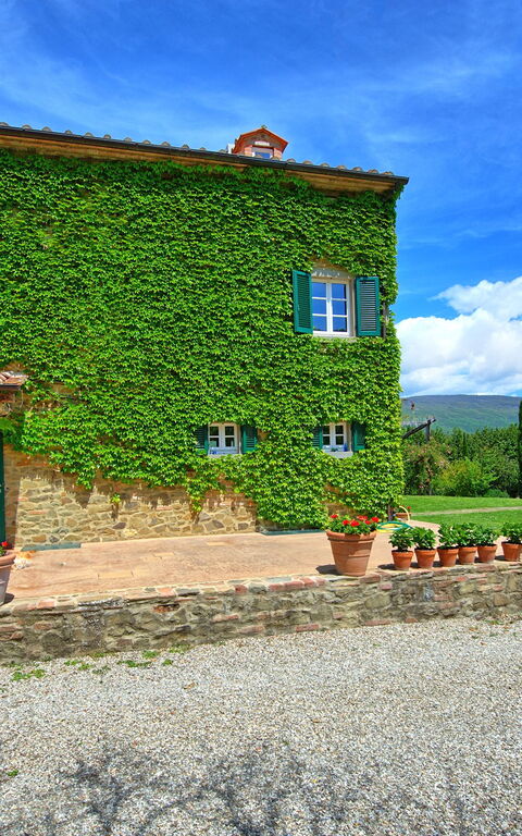 Villa Edo: Trädgård, Utomhus