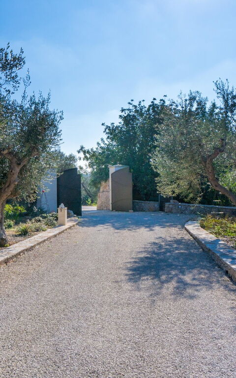 Villa Modigliani: Utomhus