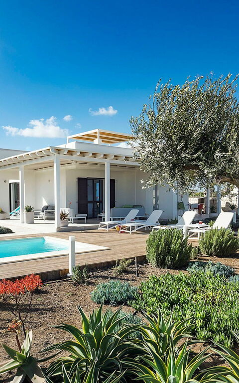 Villa San Lorenzo Rosmarino: Trädgård, Utomhus