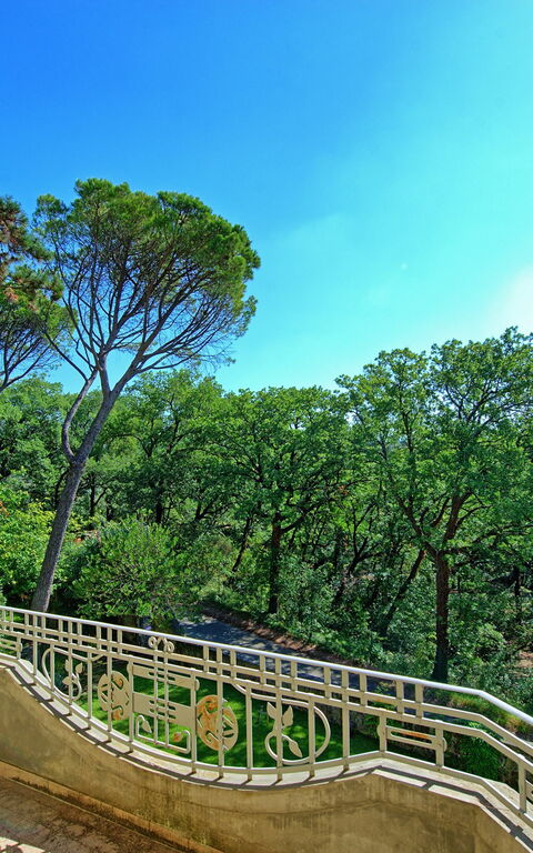 Villa Cuculo: Trädgård