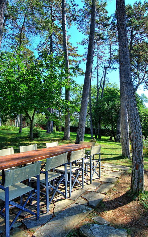 Villa Cuculo: Trädgård