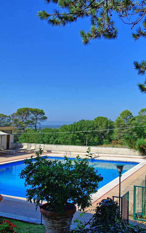 Villa Cuculo: slå samman, Trädgård