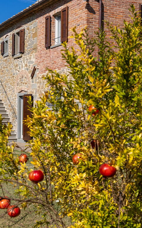 Villa Dei Vini: Exteriör, Trädgård, Utomhus