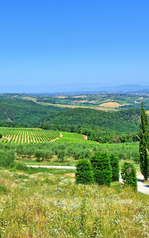 Villa Il Caggio: Sommar, Utomhus, Visningar