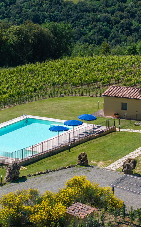 Villa Il Caggio: Exteriör, slå samman, Trädgård, Utomhus, Visningar