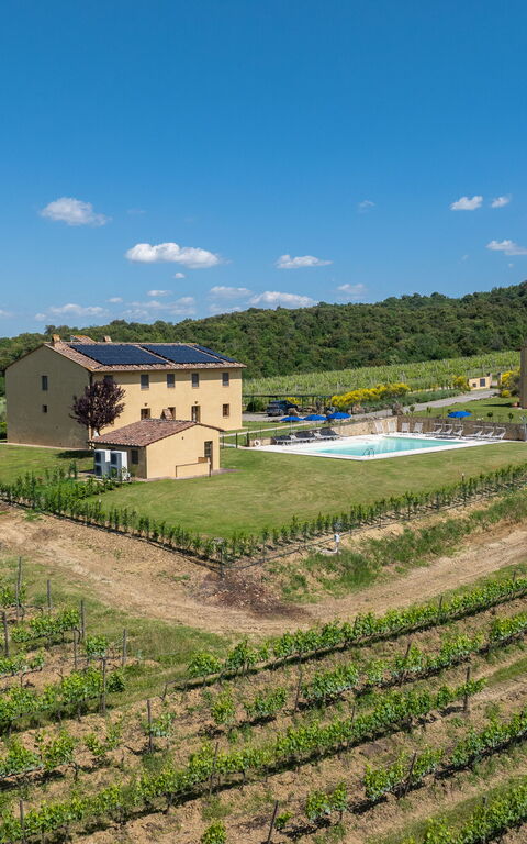 Villa Il Caggio: slå samman, Visningar