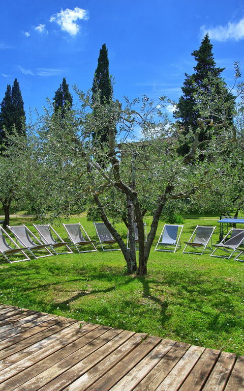 Maggiano: Trädgård