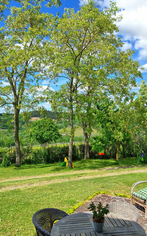 Maggiano: Trädgård, Visningar