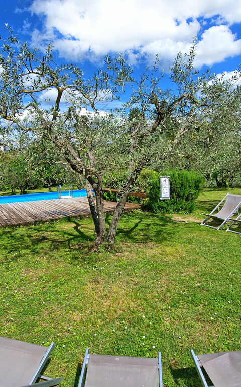 Maggiano: Trädgård