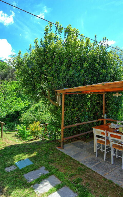 Casale Di Cozzile: Trädgård