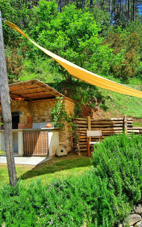 Casale Di Cozzile: Trädgård