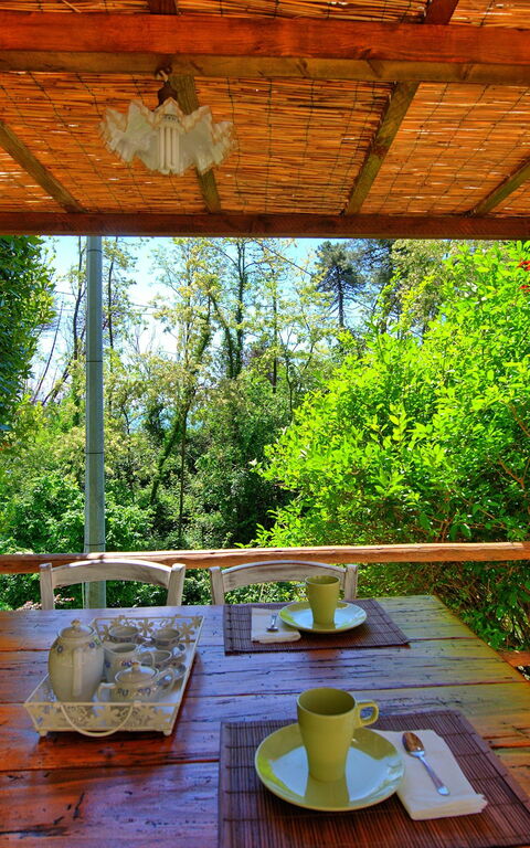 Casale Di Cozzile: Trädgård