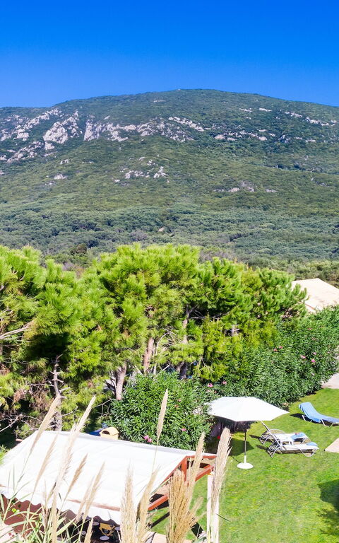 Beachfront Villa Rania: Visningar