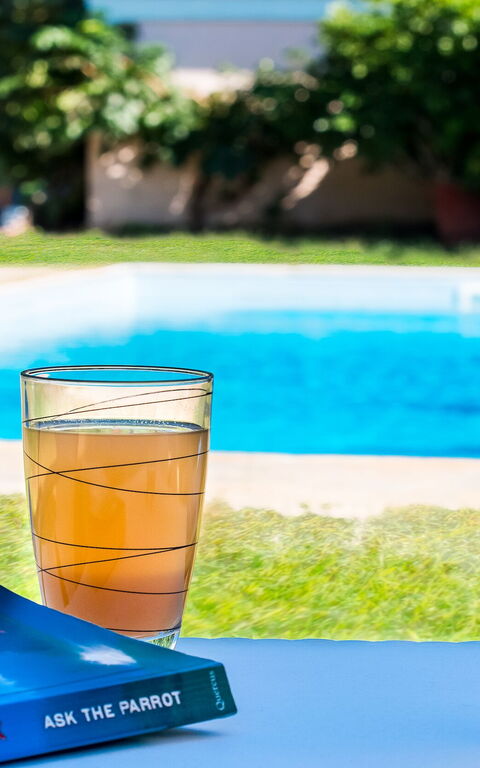 Beachfront Villa Rania: slå samman, Trädgård