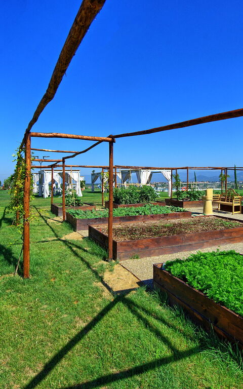 Il Sole Di Vino: Aktiviteter, Trädgård