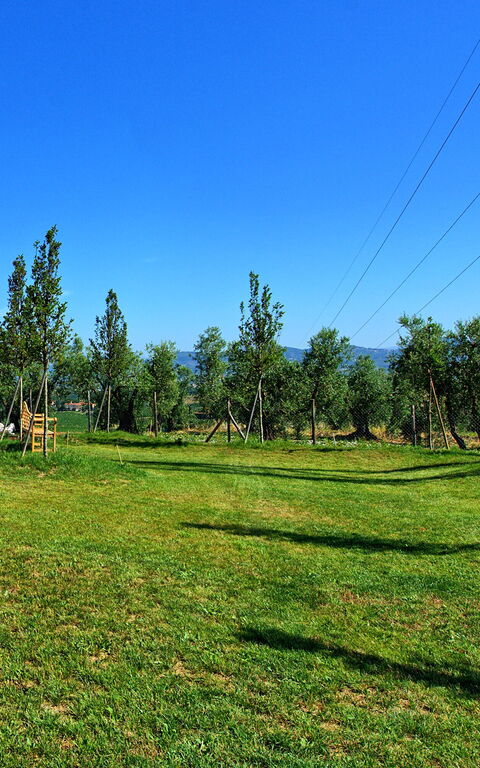 Il Sole Di Vino: Trädgård, Visningar