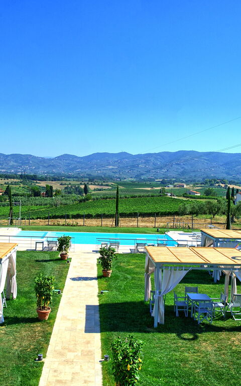 Il Sole Di Vino: Visningar