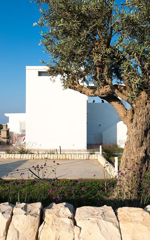 Villa San Lorenzo Palma: Trädgård, Utomhus