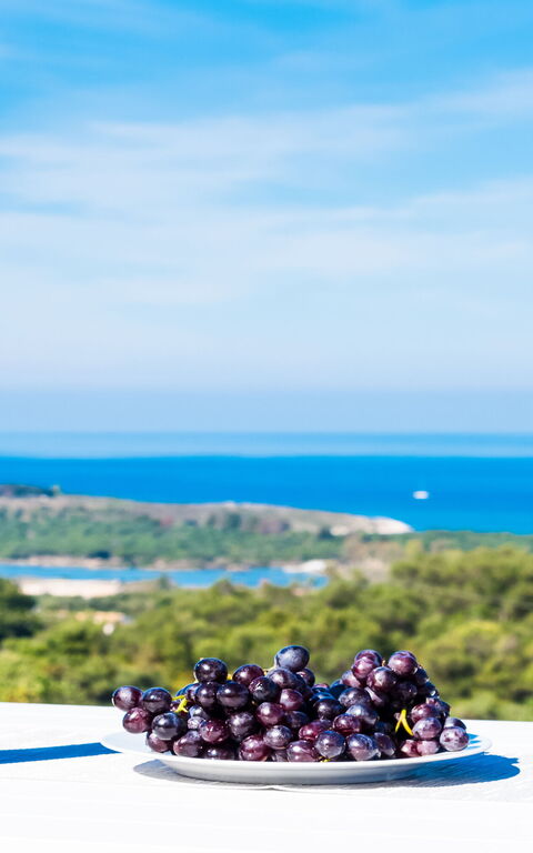 Villa Nafsika: Utomhus