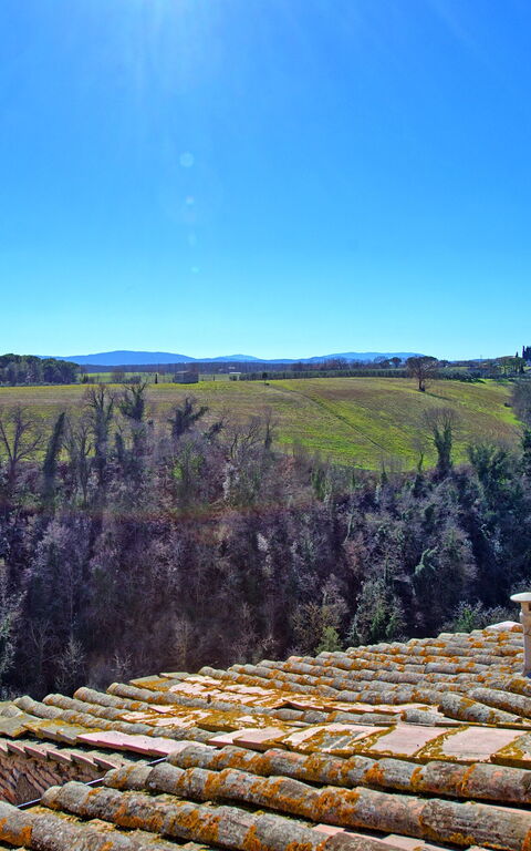 Palazzo Del Capitano: Visningar